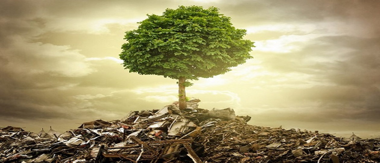 Ecological-Crisis.jpg