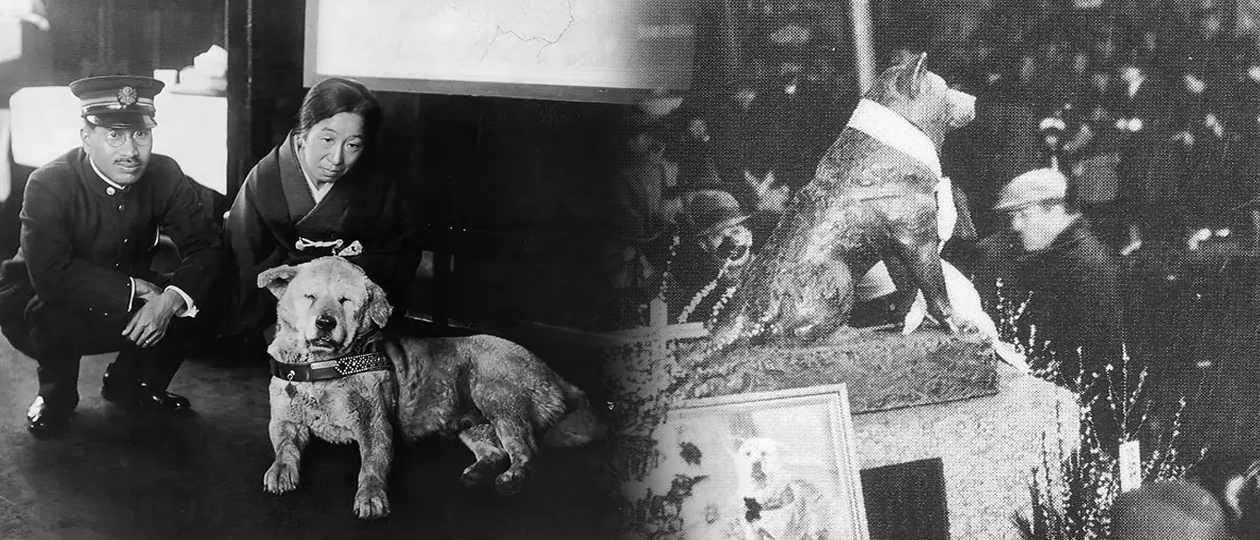 hachiko.jpg