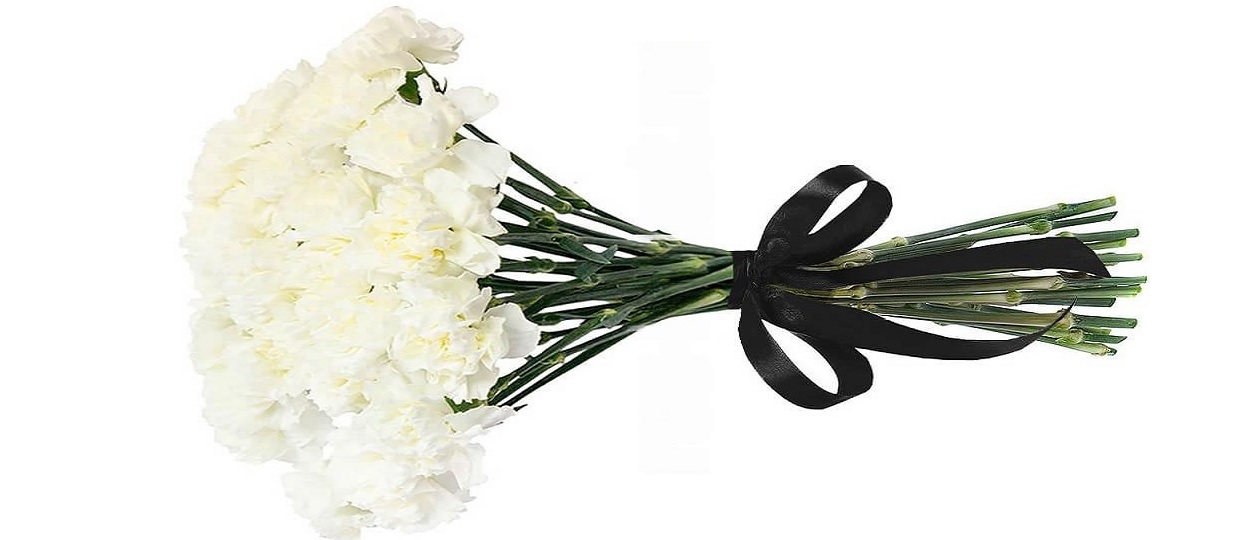 White-carnations.jpg